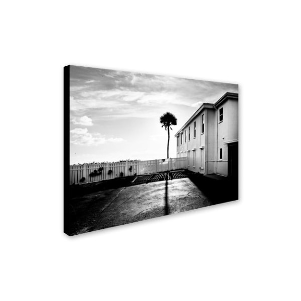 Preston 'Florida Lone Palm' Canvas Art,24x32